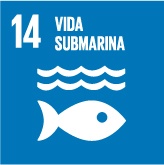 14- Vida submarina