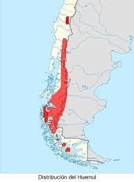 https://www.vidasilvestre.org.ar/nuestro_trabajo/concientizacion_y_educacion/campanas/dia_del_medio_ambiente/dia_del_medio_ambiente/ecorregiones/bosques_patagonicos/