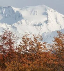 El sur en la Región Patagónica. Sus paisajes de bosques, lagos y montañas de intensos rojos se cubren rápido de nieve quedando teñidos blanco.  Niebla en la montaña