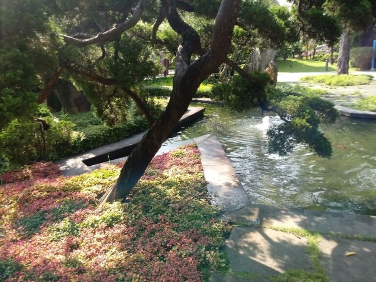 Fotos de ‘rincones’ del Jardín Botánico de Singapur. Pueden observarse las texturas de plantas como de solados, el juego del agua, esculturas. Cada rincón tiene un efecto especial de protección.