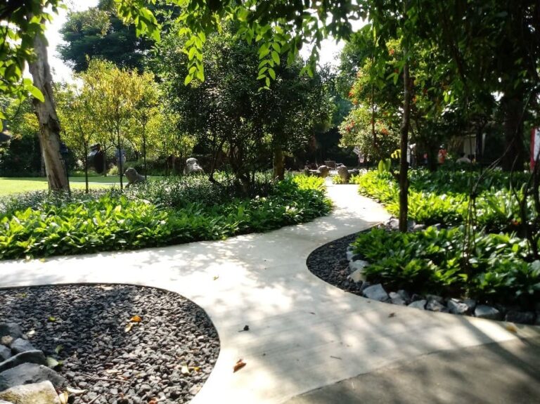 Fotos de ‘rincones’ del Jardín Botánico de Singapur. Pueden observarse las texturas de plantas como de solados, el juego del agua, esculturas. Cada rincón tiene un efecto especial de protección.