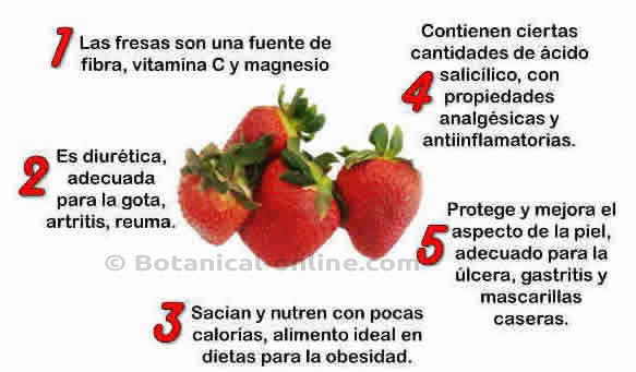 frutillas