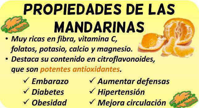 mandarina