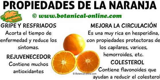 naranja