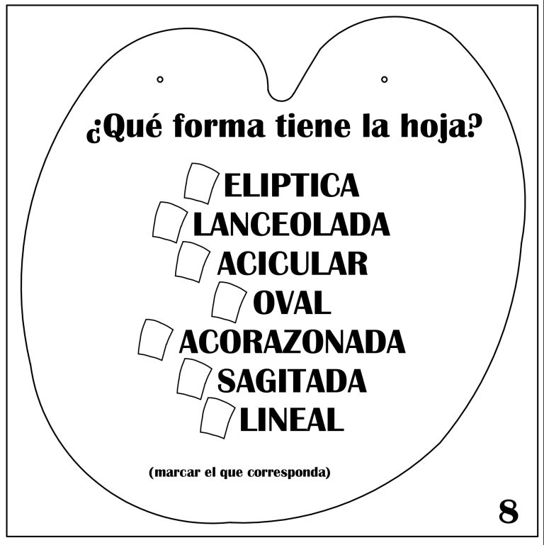 D:MONI2022-08-01_Copia de Seguridad1-MONITRABAJO-ESTUDIODES