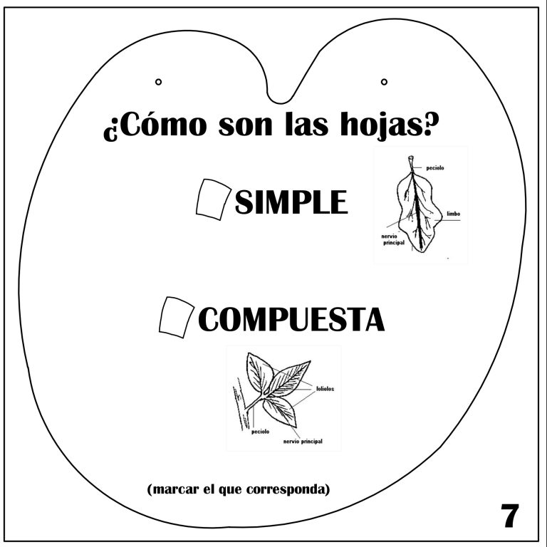 D:MONI2022-08-01_Copia de Seguridad1-MONITRABAJO-ESTUDIODES