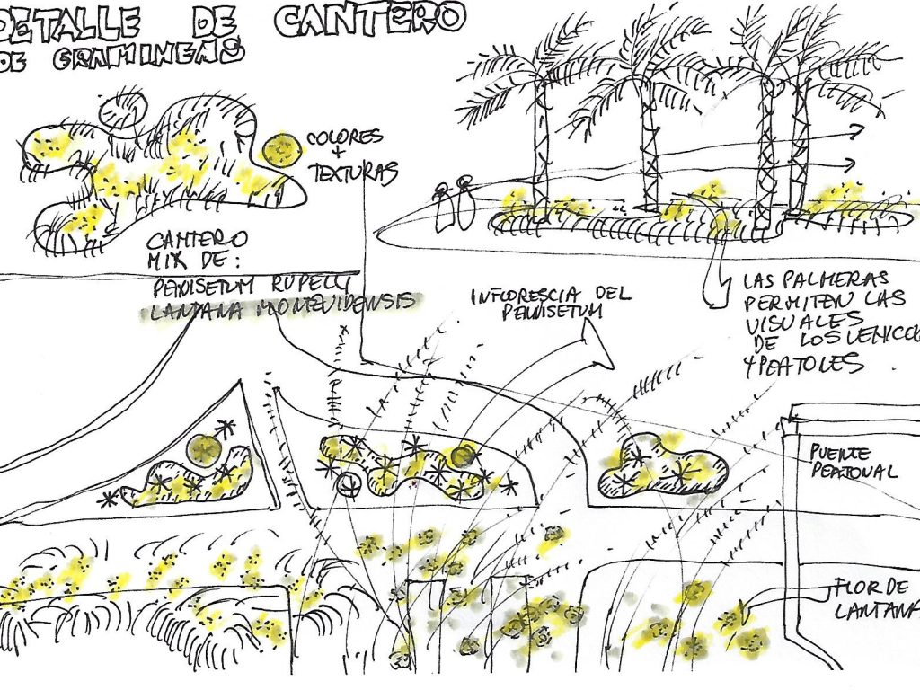 Detalle de los macizos de gramíneas