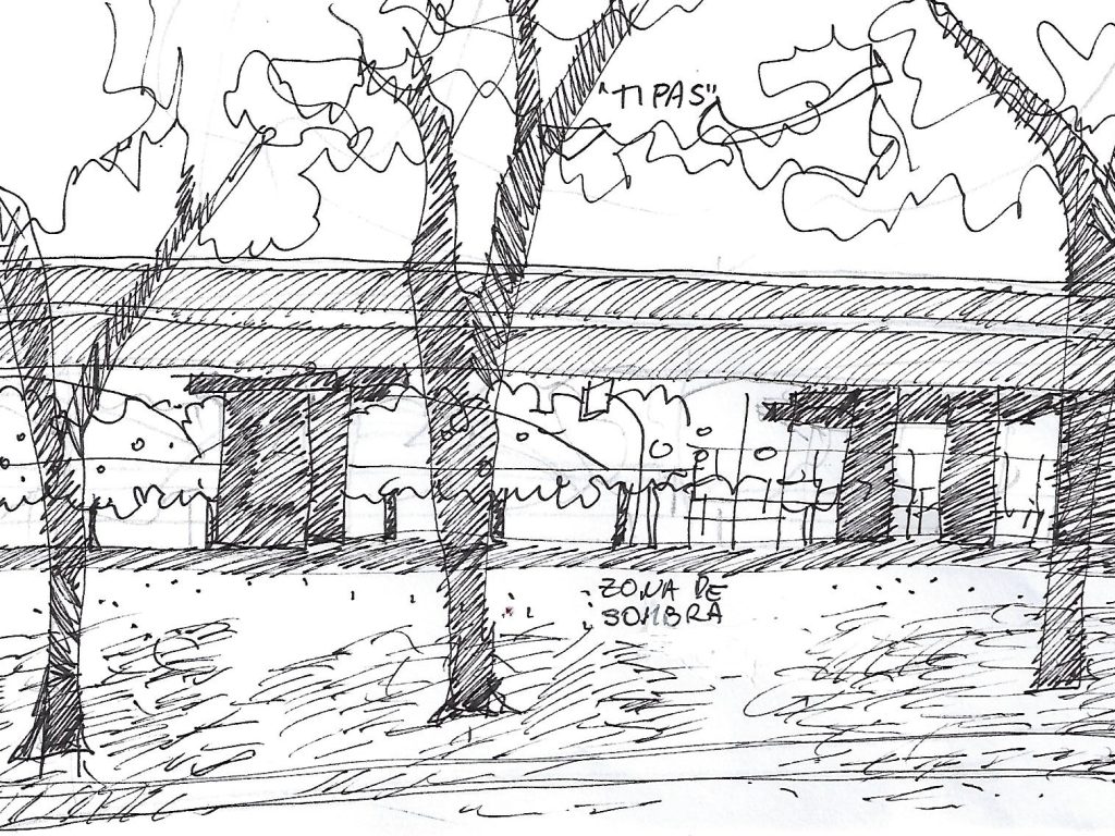 Propuesta con la envolvente de Tipas (Tipuana tipu) generando una pantalla visual