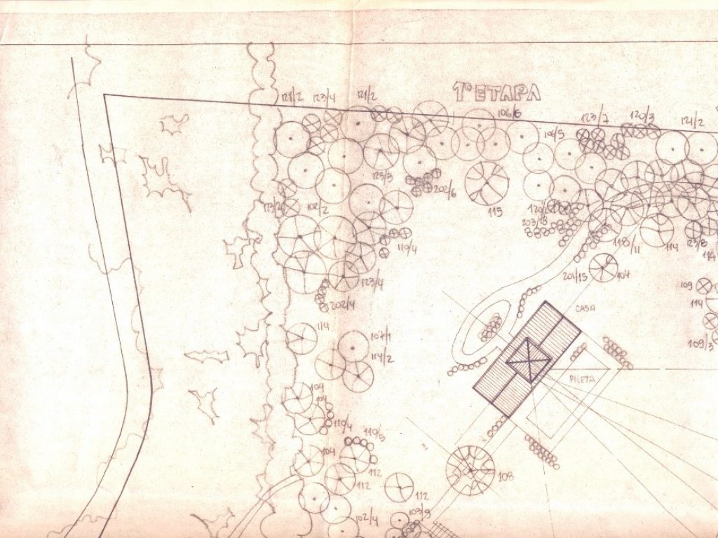 Plano de plantación con visuales