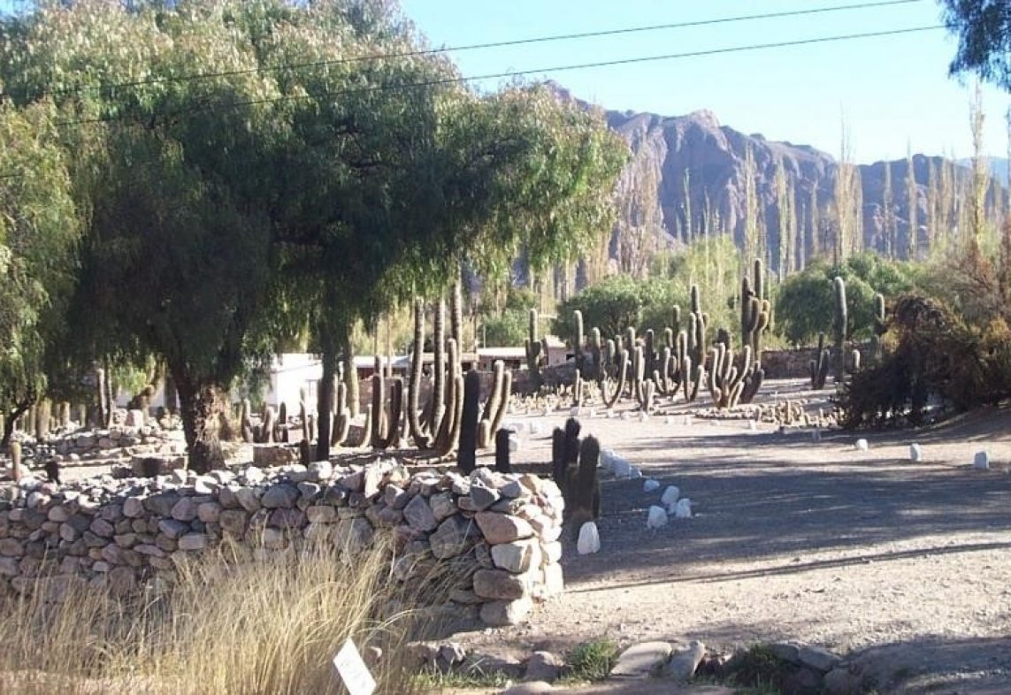 Jardin Botanico en altura de Tilcara