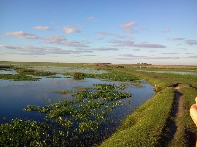 Los esteros del Iberá