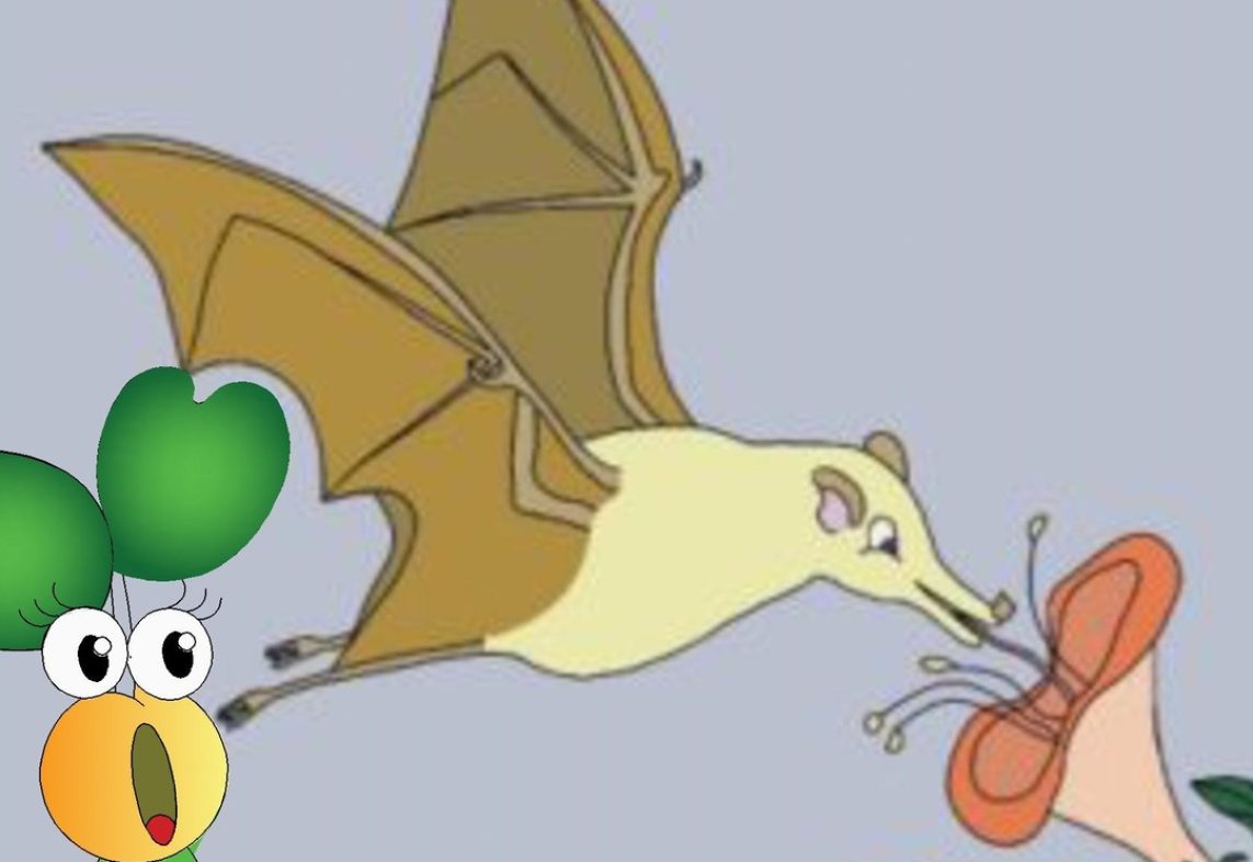 portada con taye (1) portada con taye (1)