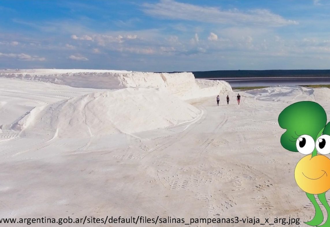 salinas con taye portada salinas con taye portada